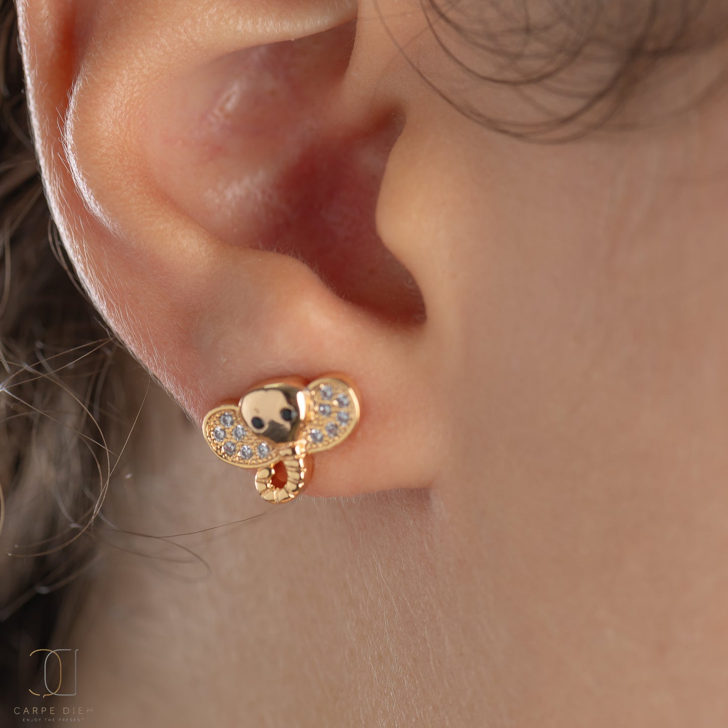 CDE162 - Rose Gold Plated Earrings