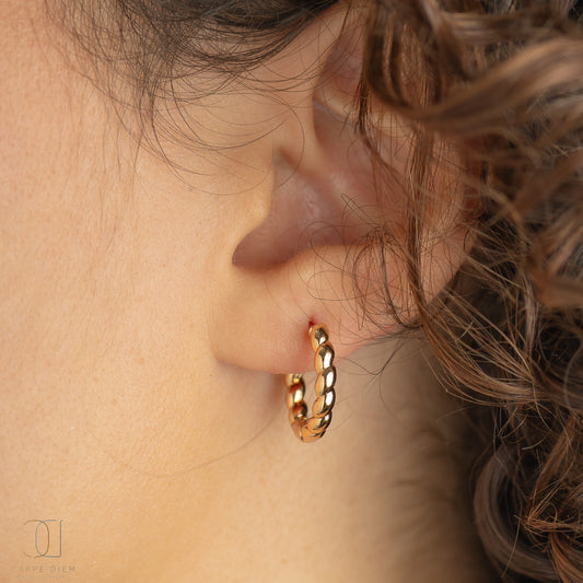 CDE167 - Rose Gold Plated Earrings