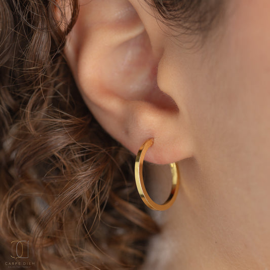 CDE174 - Gold Plated Earrings
