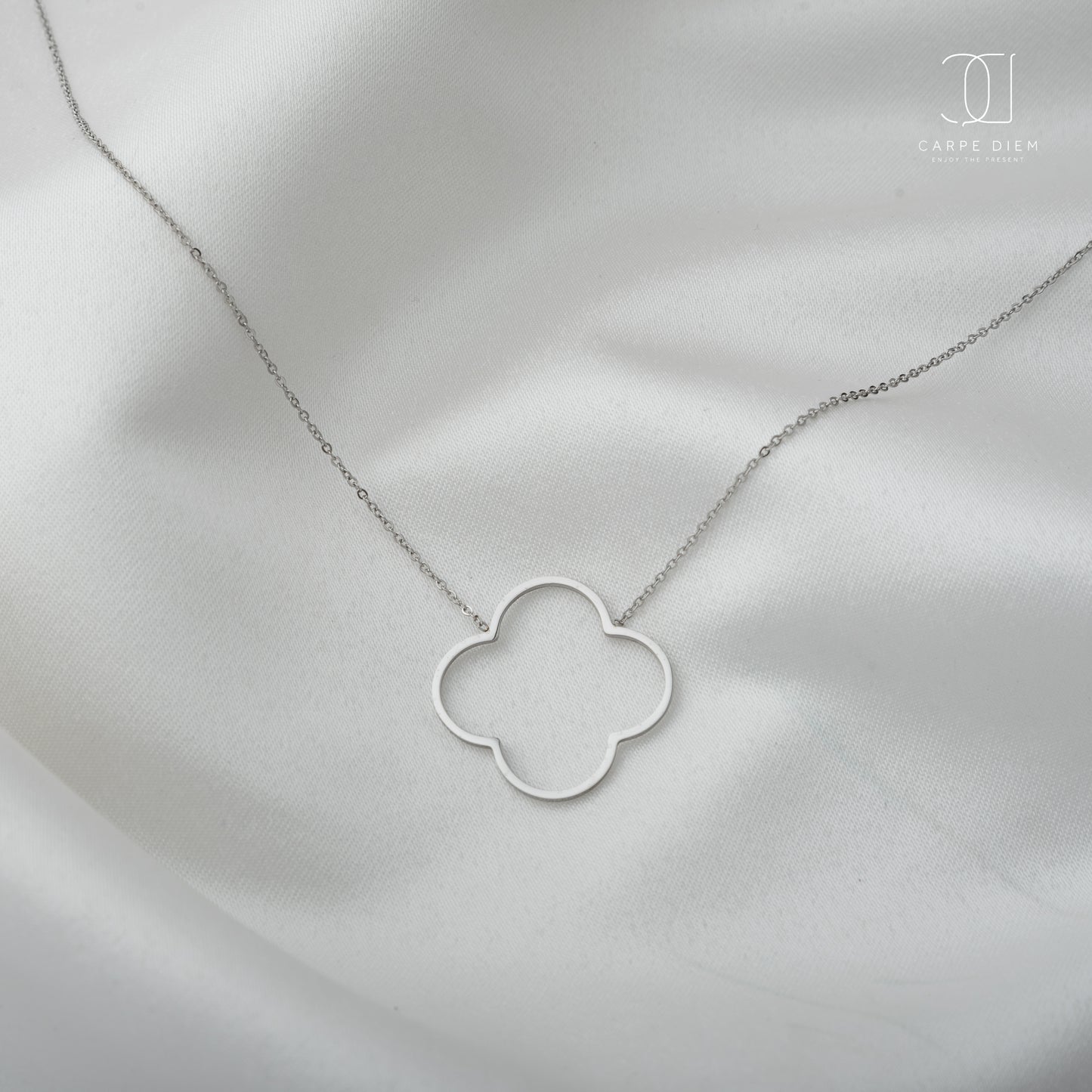 CDN126- Silver plated Necklace