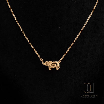 CDN138- Gold plated Necklace